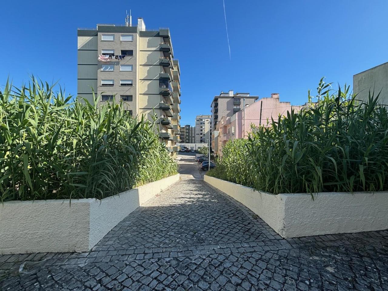 Rosario - Two Bedroom Apart- Buarcos - Figueira Da Foz Luaran gambar